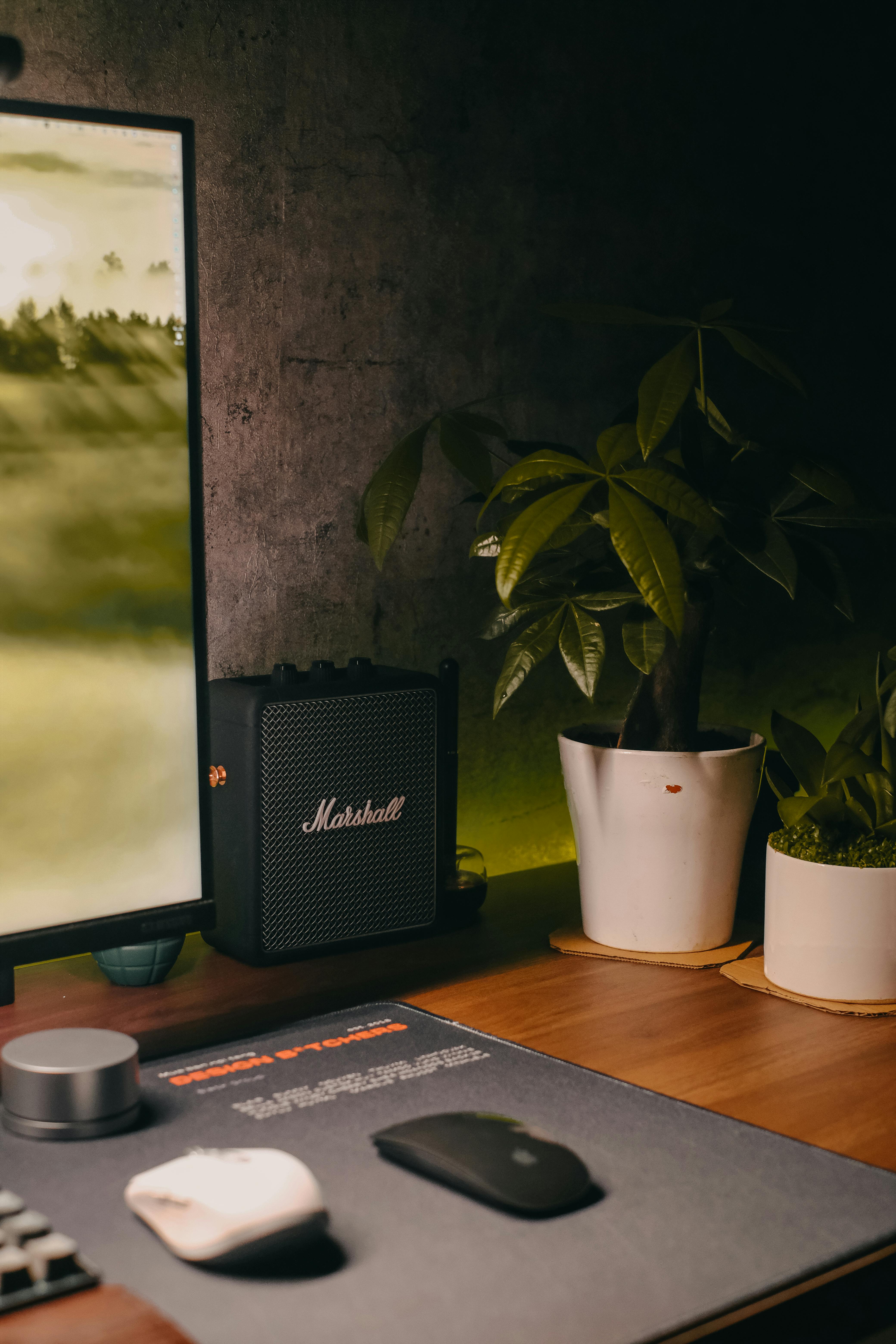 Speakers - TS Store