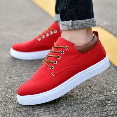Canvas shoes Korean cloth shoes sports - TS Store